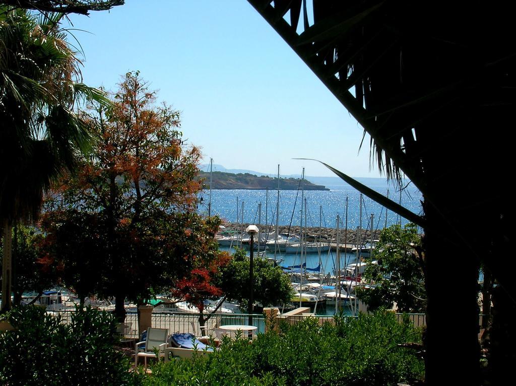 La Mimosa Guesthouse Palma de Mallorca Dış mekan fotoğraf