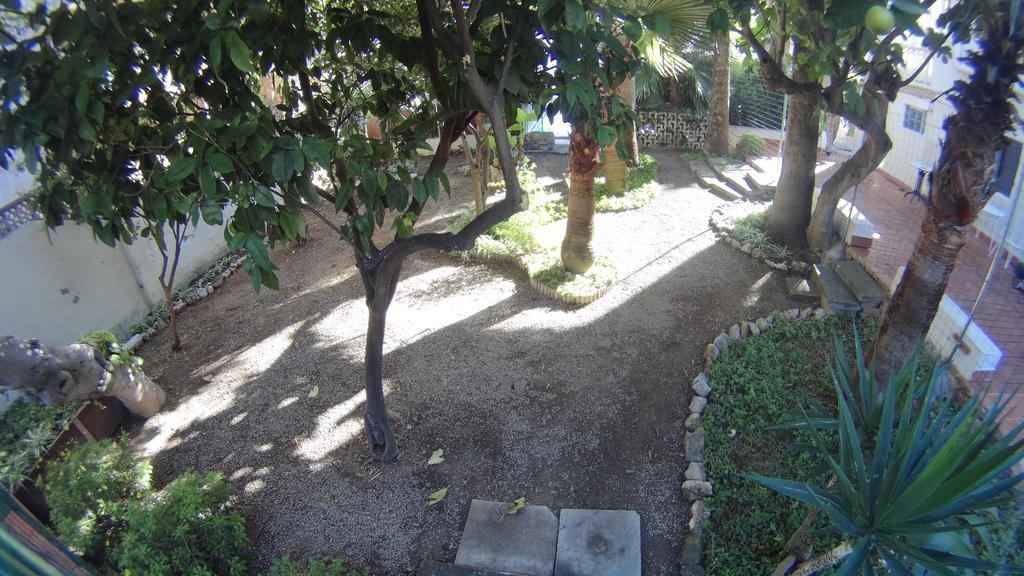 La Mimosa Guesthouse Palma de Mallorca Dış mekan fotoğraf