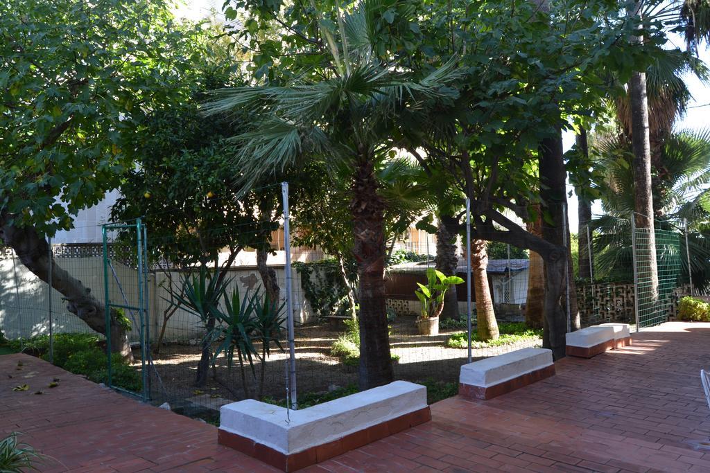 La Mimosa Guesthouse Palma de Mallorca Dış mekan fotoğraf